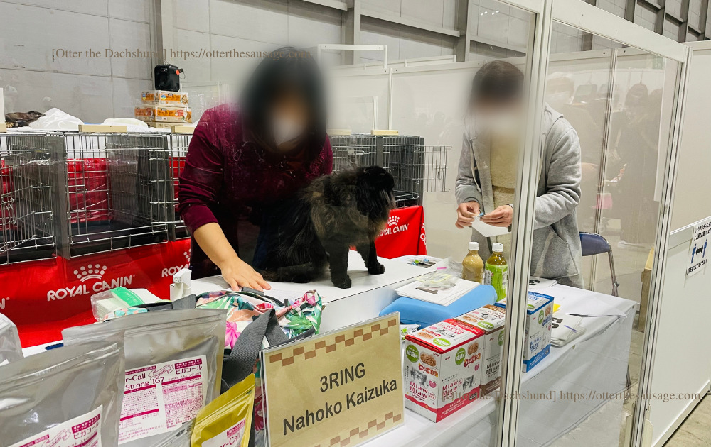 Blog image_犬と旅行_犬連れ旅行_pet博横浜2022_キャットショー